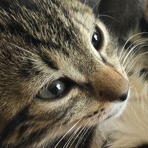 Meet your Posher, Matt